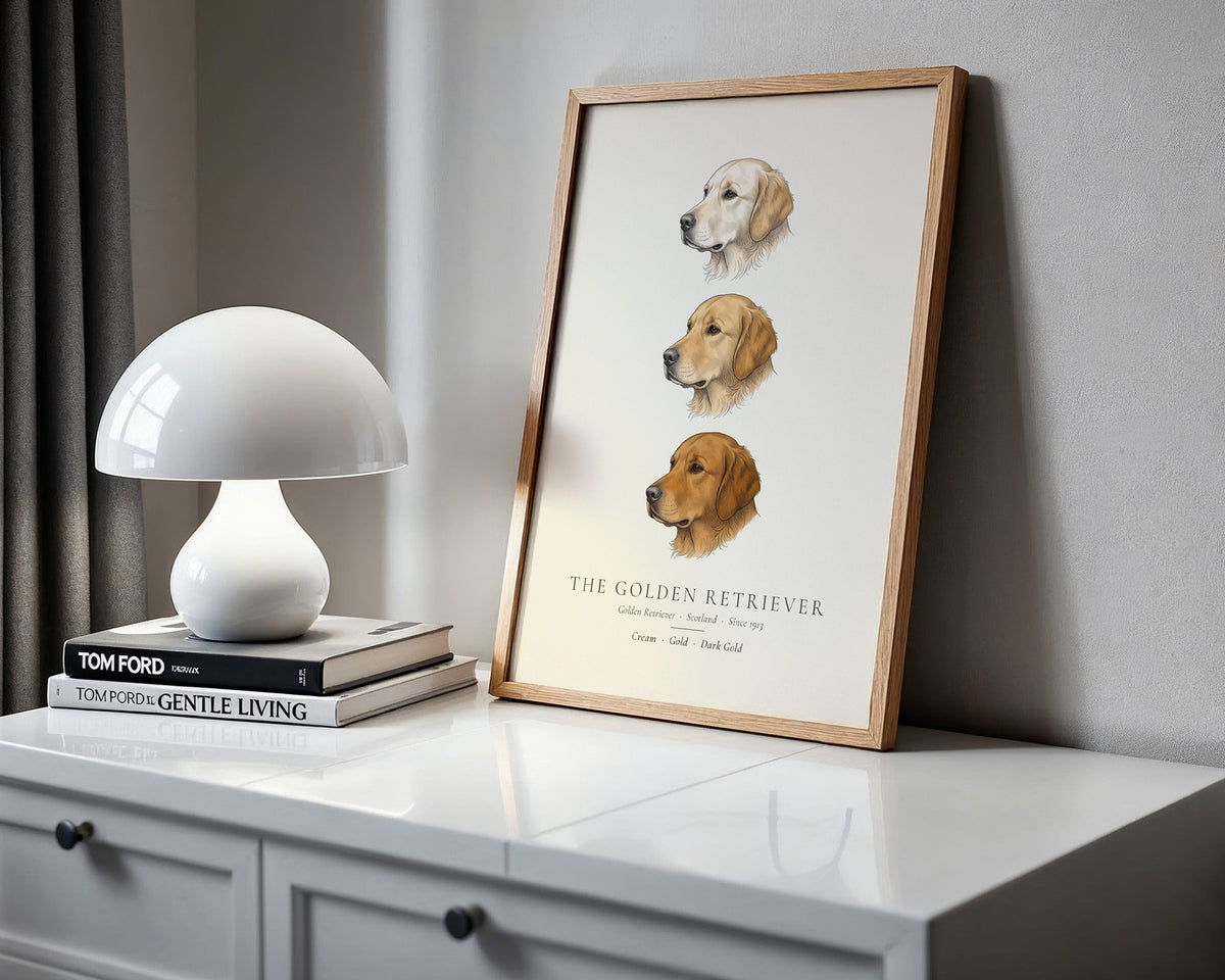 Golden Retriever Three Colours Plate - The Kennel Book