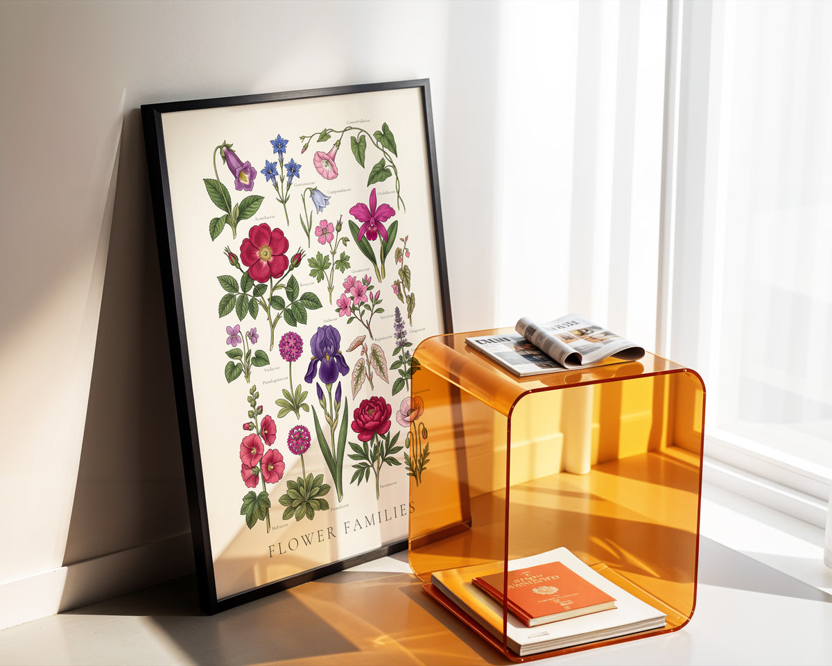 Flower Families - Botanical Chart, Sheet I