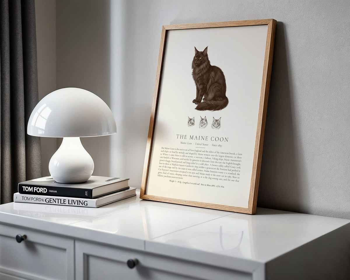 Black Maine Coon Plate - The Kennel Book
