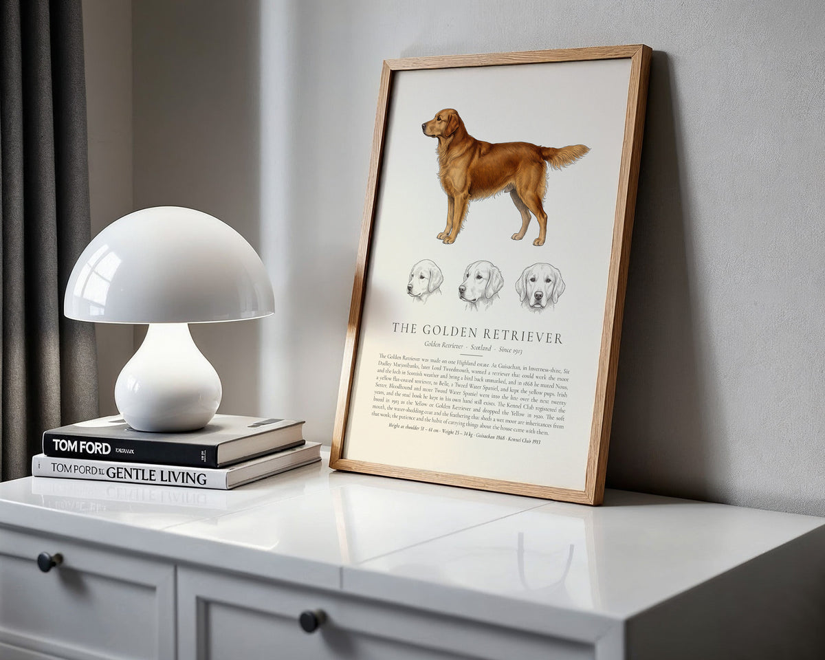 Dark Gold Golden Retriever Plate - The Kennel Book