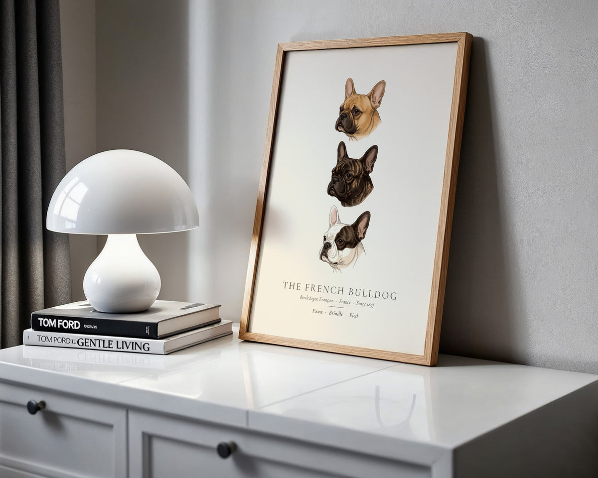 French Bulldog Three Colours Plate - The Kennel Book