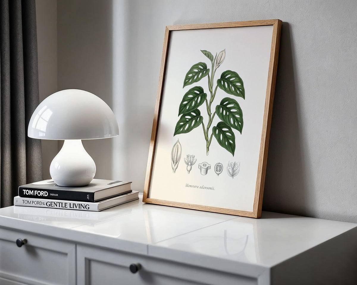 Swiss Cheese Vine Botanical Plate - Monstera adansonii