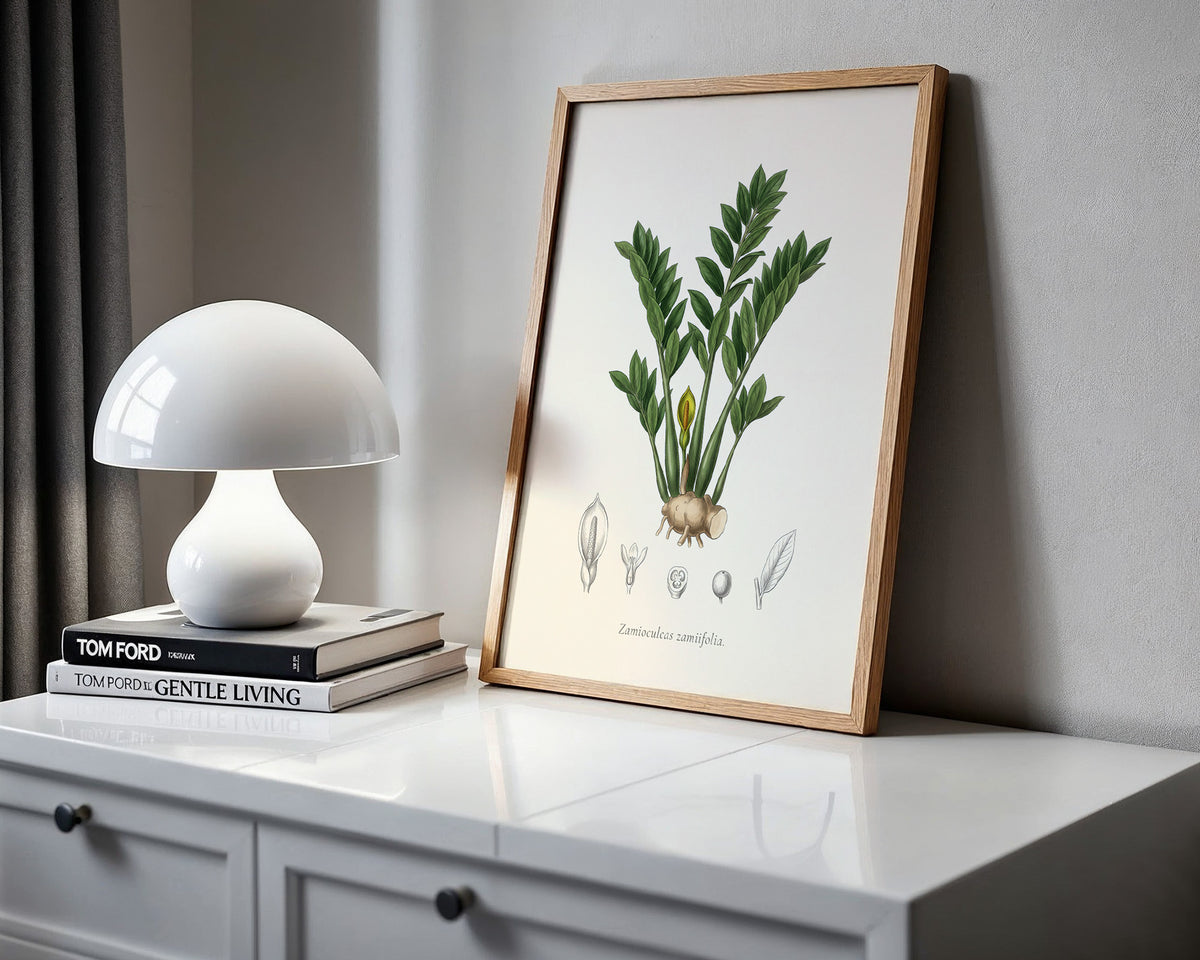 ZZ Plant Botanical Plate - Zamioculcas zamiifolia