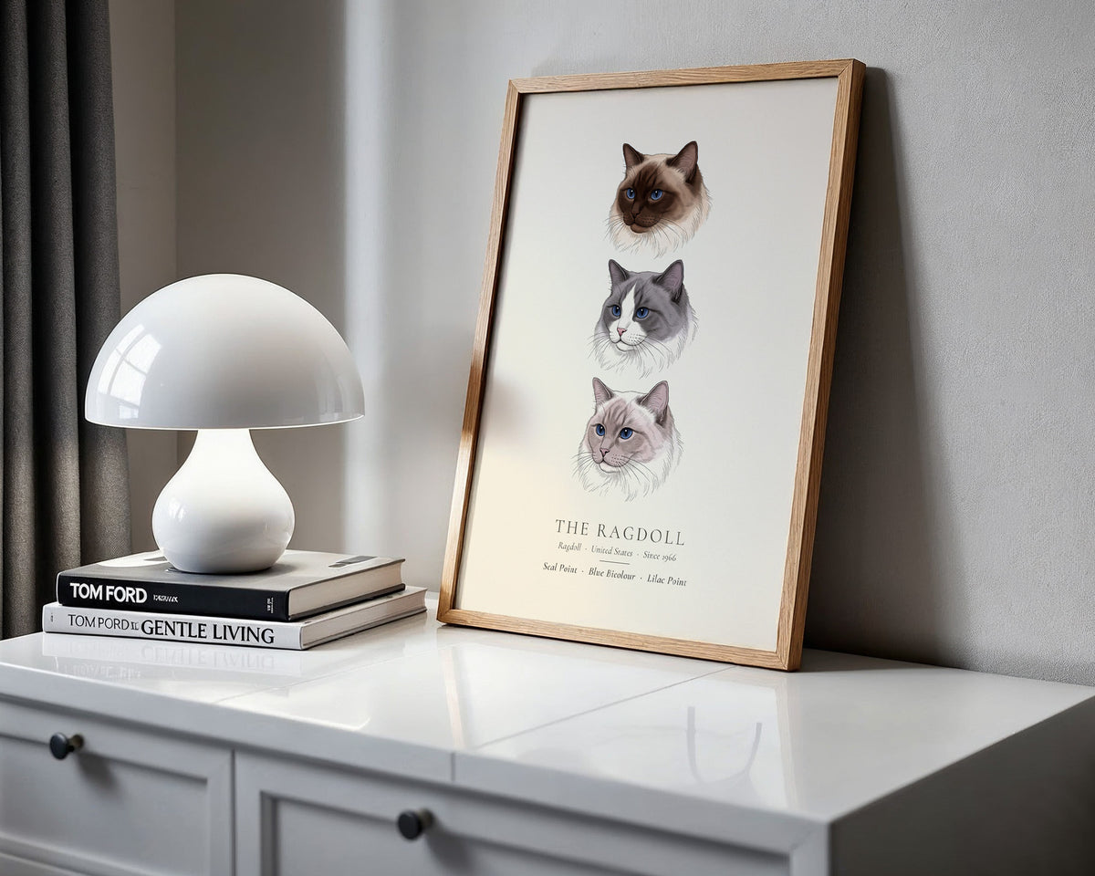 Ragdoll Three Colours Plate - The Kennel Book