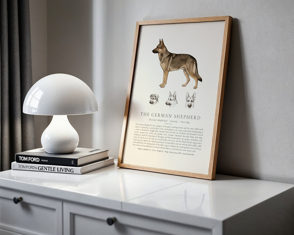 Sable German Shepherd Plate - The Kennel Book