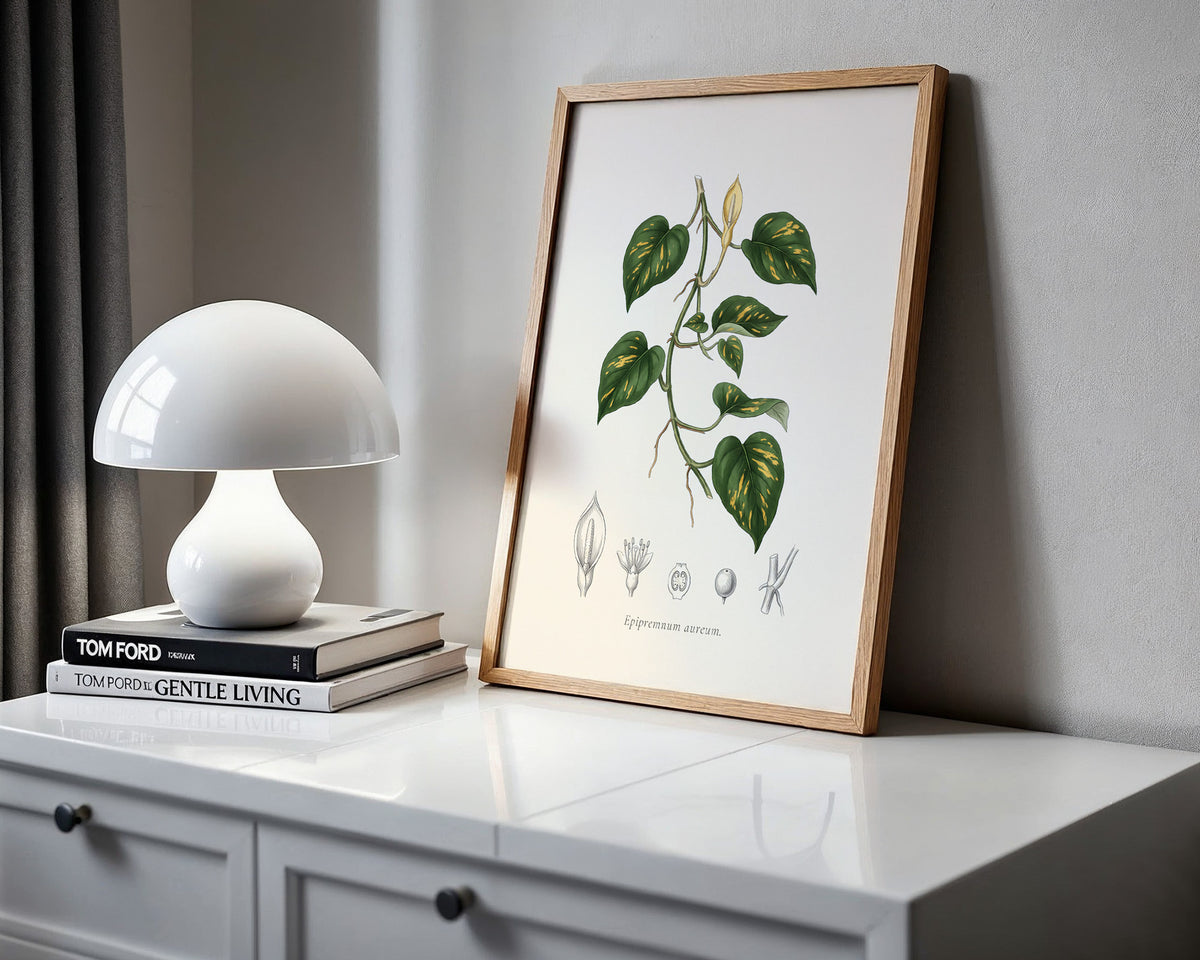 Pothos Botanical Plate - Epipremnum aureum