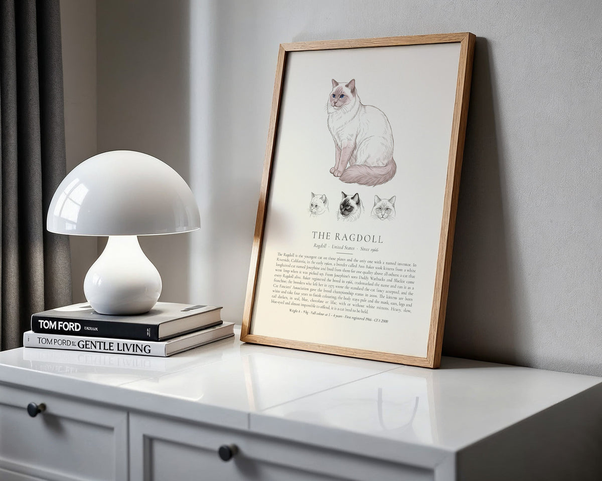 Lilac Point Ragdoll Plate - The Kennel Book