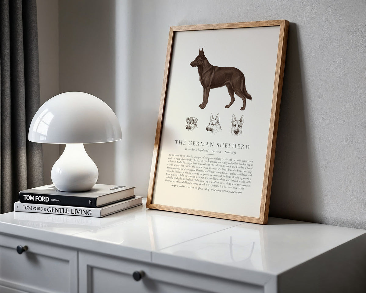 Black German Shepherd Plate - The Kennel Book