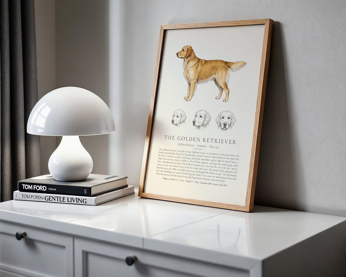 Gold Golden Retriever Plate - The Kennel Book