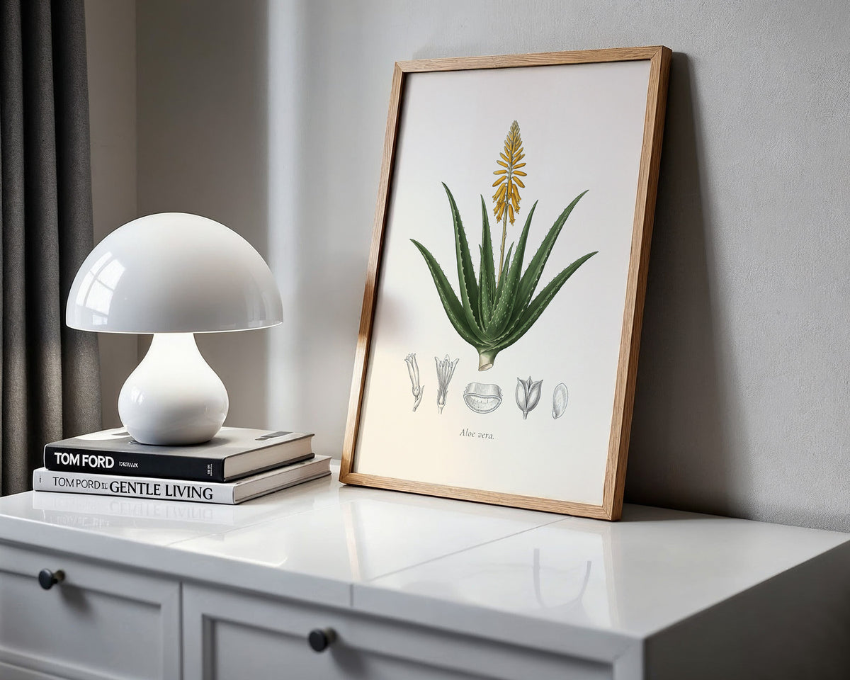 Aloe Vera Botanical Plate - Aloe vera