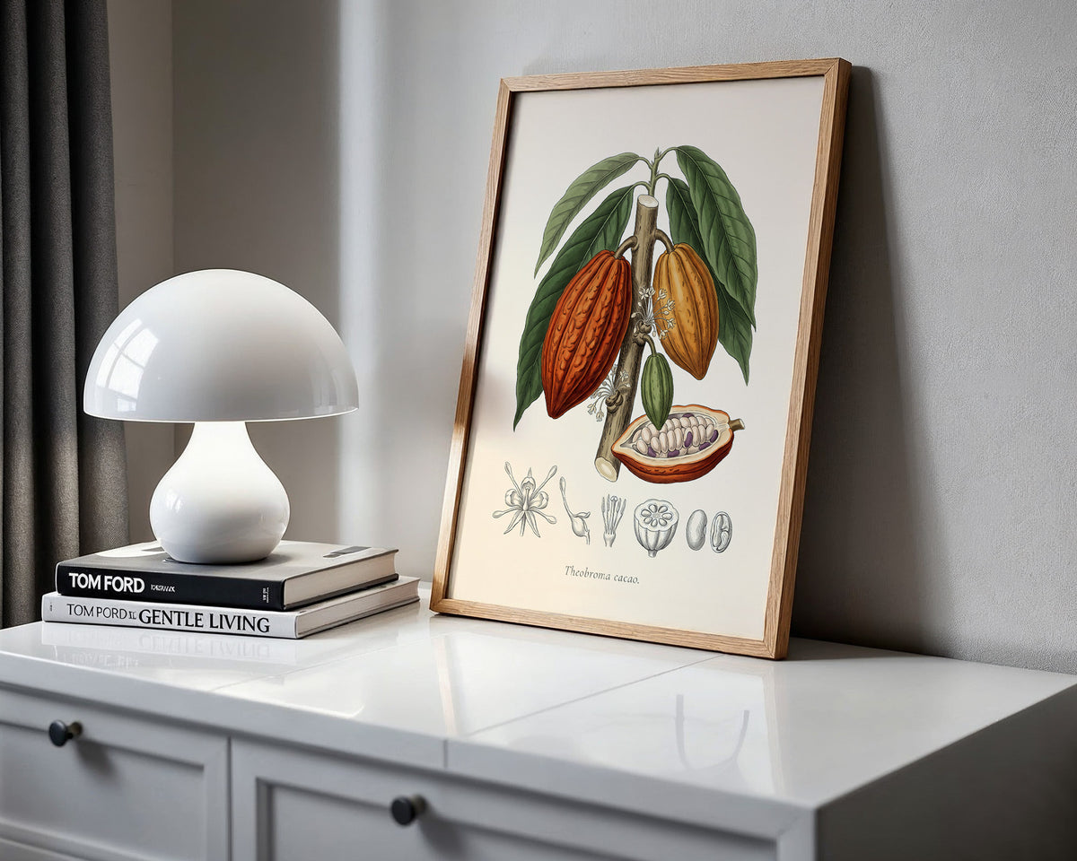 Theobroma Cacao - Cocoa Tree, Botanical Plate