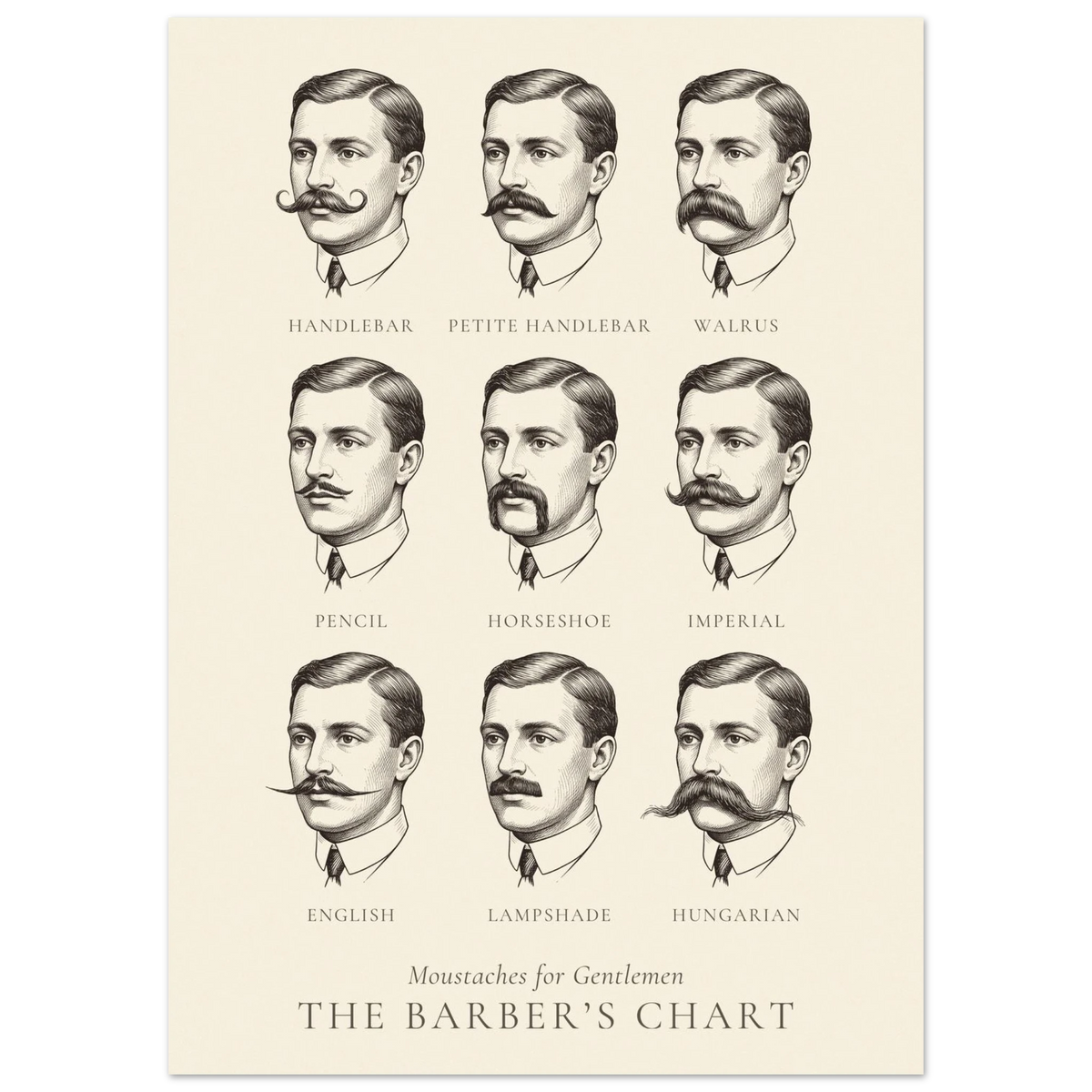 Moustaches for gentlemen chart, nine named moustache styles in antique engraving style, The Barber's Chart